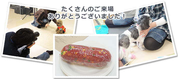 たくさんのご来場ありがとうございました！