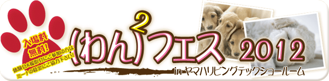 わんわんフェス開催！