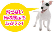 滑らない床の展示もあるワン！