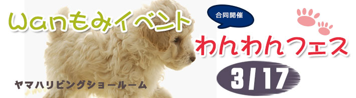 わんわんフェス2013開催！
