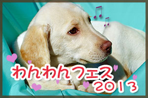 わんフェス2013