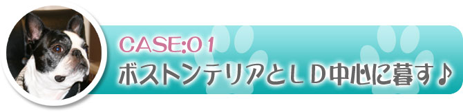 事例1：ボストンテリアとリビングダイニング中心に暮らすための施工例