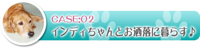 事例2：インディちゃんとお洒落に暮す