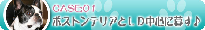 臭いを対策してボストンテリアとリビングダイニング中心に暮す