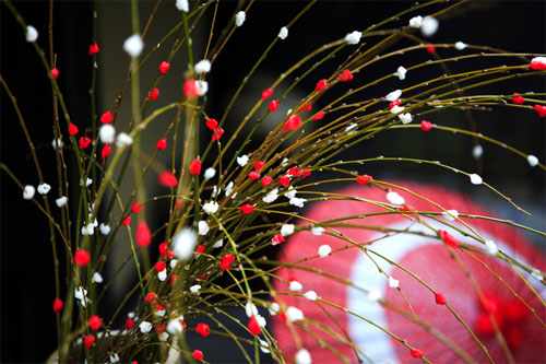 1年の始まりを新しい畳で迎える