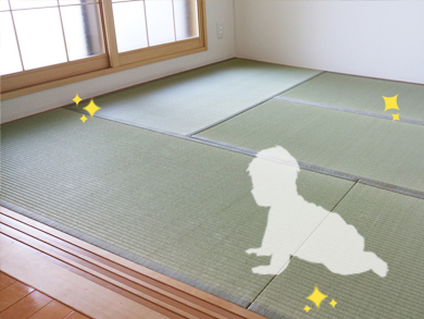札幌市西区・畳表替え、食毒性防虫シート敷 赤ちゃんにも安心!防虫シートを敷いた畳表替え